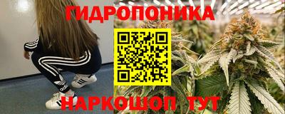 тгк Боровичи