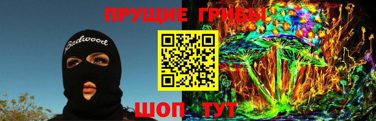 Псилоцибиновые грибы прущие грибы Вятские Поляны